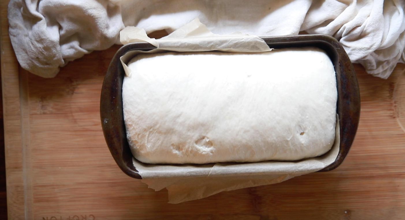 a loaf pan of risen sourdough bread
